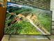 Телевизор Samsung 42 Smart TV Android 15 LED безрамочный с голосовым управлением Wi-Fi 4K UHD Самсунг Смарт ТВ 2025 421520258400 фото 2