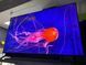 Телевизор Samsung 55 Smart TV  безрамочный с голосовым управлением Wi-Fi 4K UHD Самсунг Смарт ТВ 2025 5515202514000 фото 3