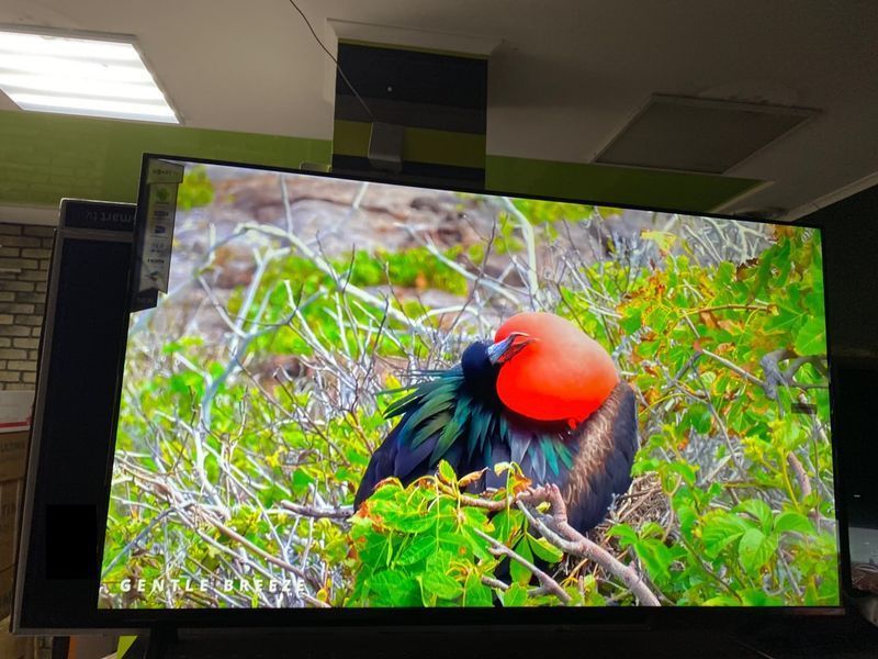 Телевизор Samsung 55 Smart TV  безрамочный с голосовым управлением Wi-Fi 4K UHD Самсунг Смарт ТВ 2025 5515202514000 фото